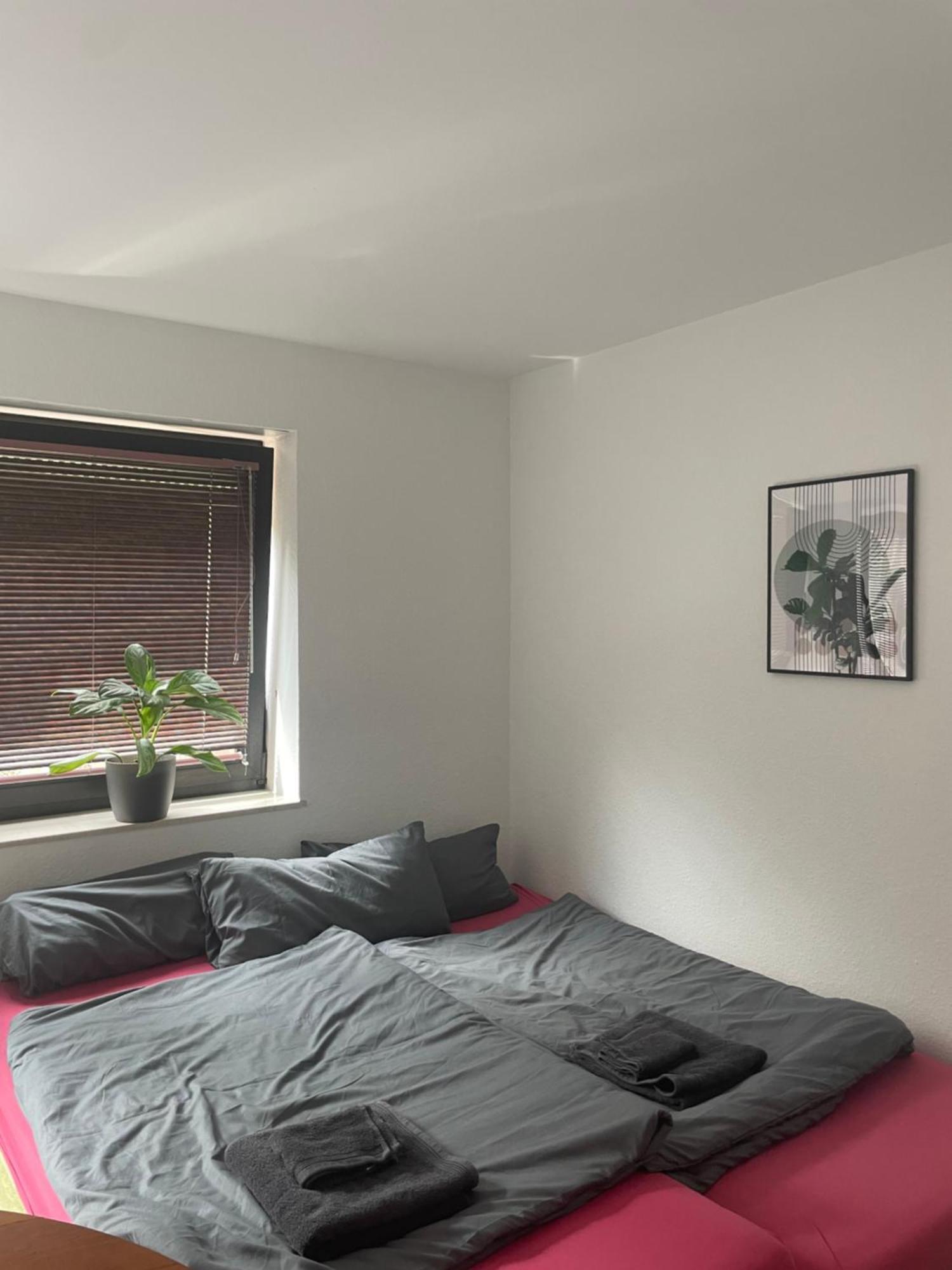 Schoenes Apartment Mit Terrasse Im Steingarten Bad Vilbel Εξωτερικό φωτογραφία